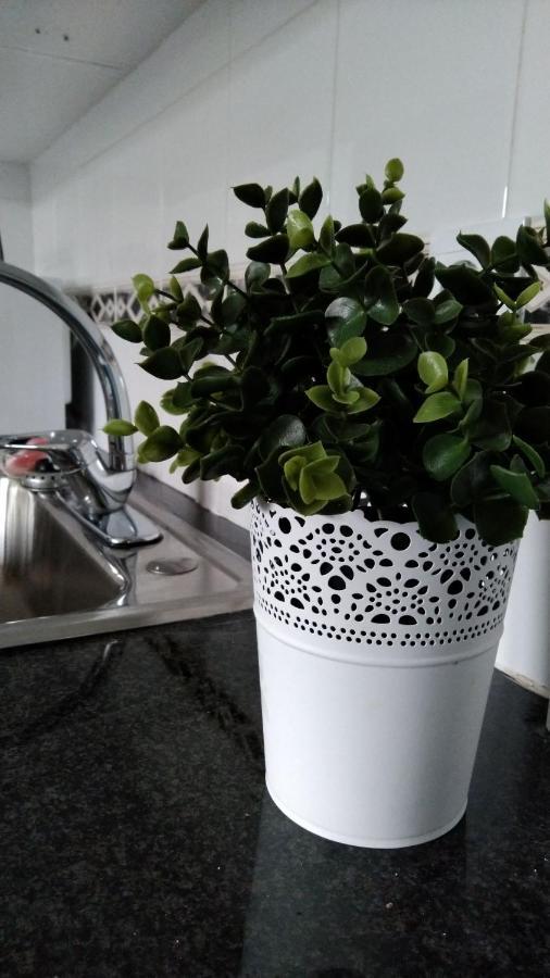 Tomarhousing - Gardenアパートメント エクステリア 写真